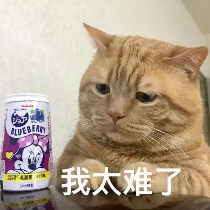 Word图文混排技巧：5种环绕格式+表格排版，20秒快速搞定！