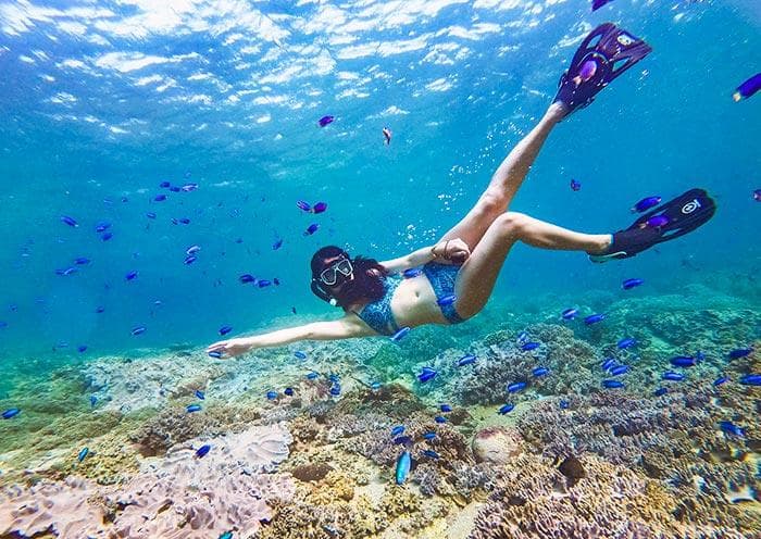 【台湾潜水旅游】台湾八大最佳潜水地点推荐「附最佳旅游时间」