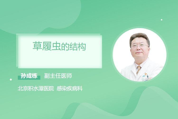 草履虫的结构