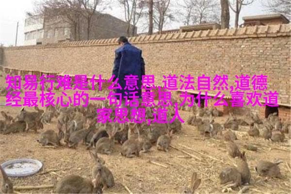 三教融合：从南宋白朴陈亮到现代道教名人