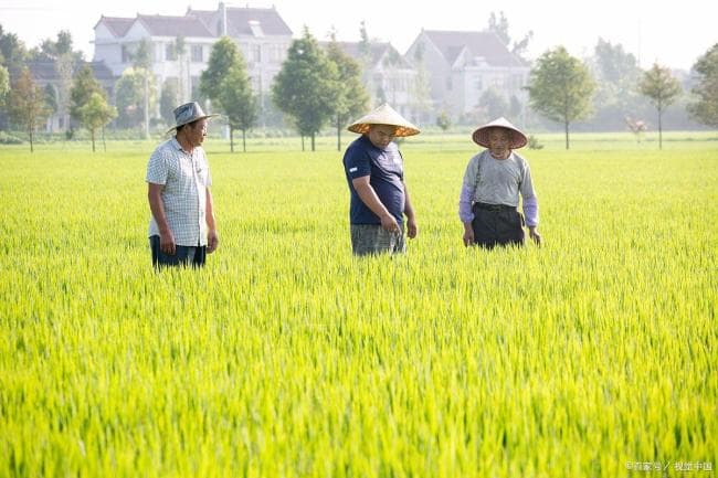 “清明时节雨纷纷”，清明节为何雨水多？ 冷暖空气交锋所致