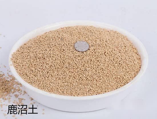 鹿沼土和赤玉土哪个更适合养多肉？