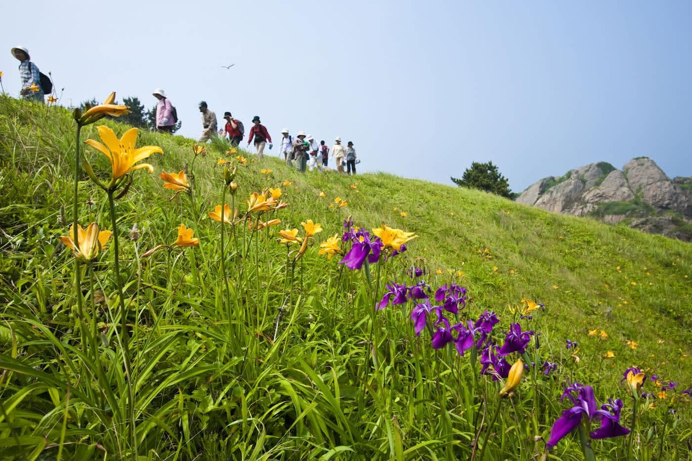 探索日本的景觀步道，漫步自然並邂逅在地風土