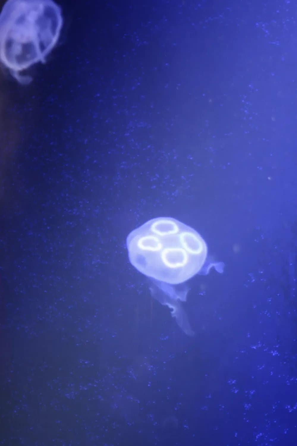 长春光机所研制1500米级深海微生物原位分选仪成功
