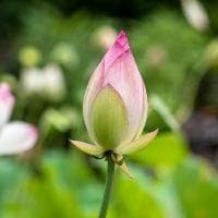 役前教育是什么意思