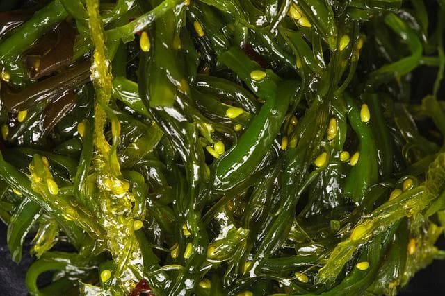 海带苗和海带有区别，在形态、营养成分、口感和用途方面有差异