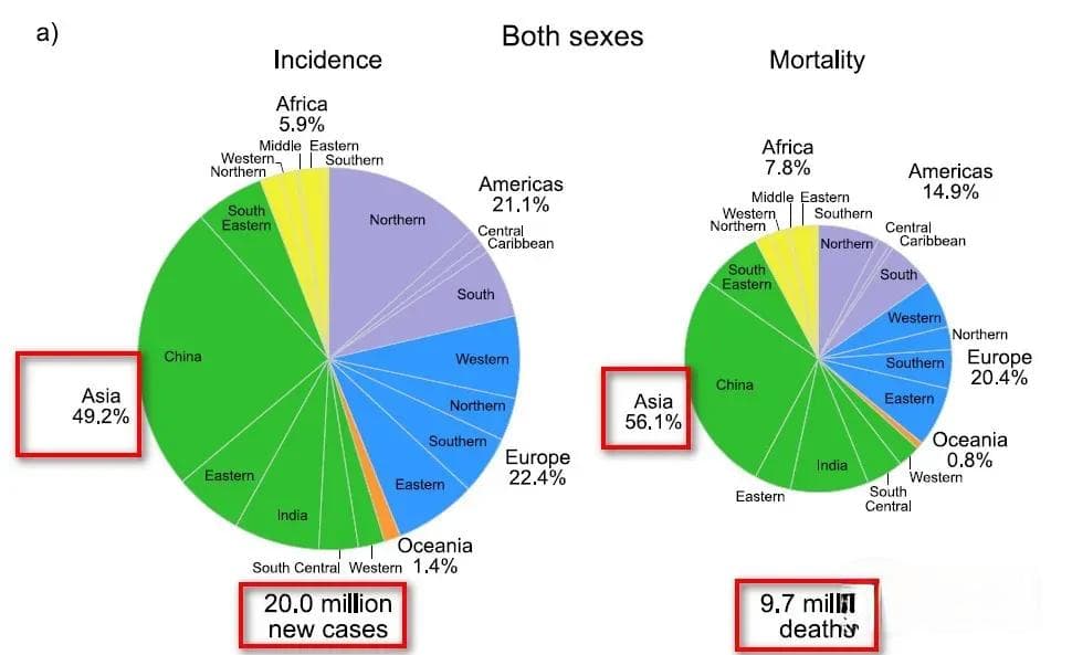 全球最新癌症统计报告出炉！185个国家、36种癌症的发病率和死亡率