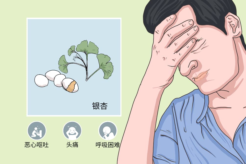 银杏中毒：症状、诊断与预防全解析