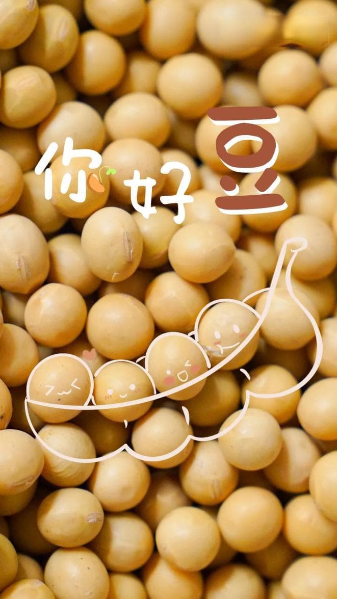 大豆、黄豆，还是毛豆？