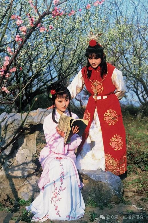 贾宝玉的“判词”：真假参半的宝玉心事