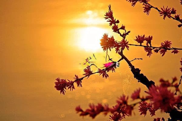 保险费率全解析：如何计算、比较及优化投保成本？
