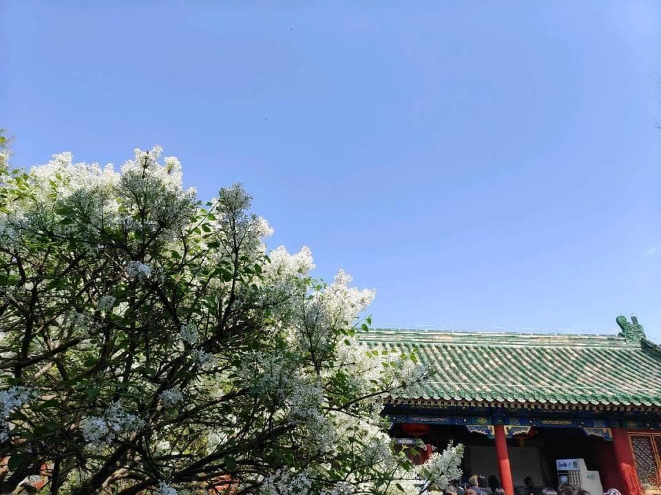 情感共鸣，力量无穷：如何撰写触动心灵的软文