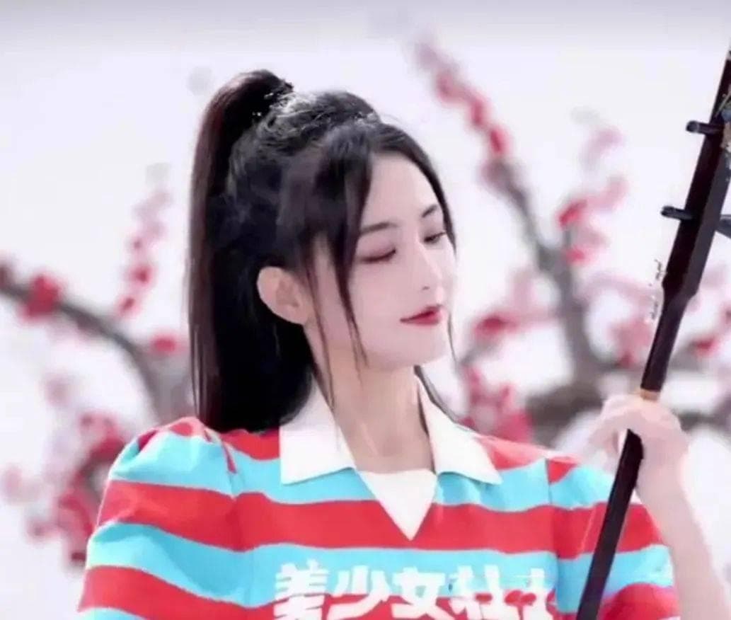 二胡的打音有度数和次数之分，运用哪一种，要根据乐曲的风格而定