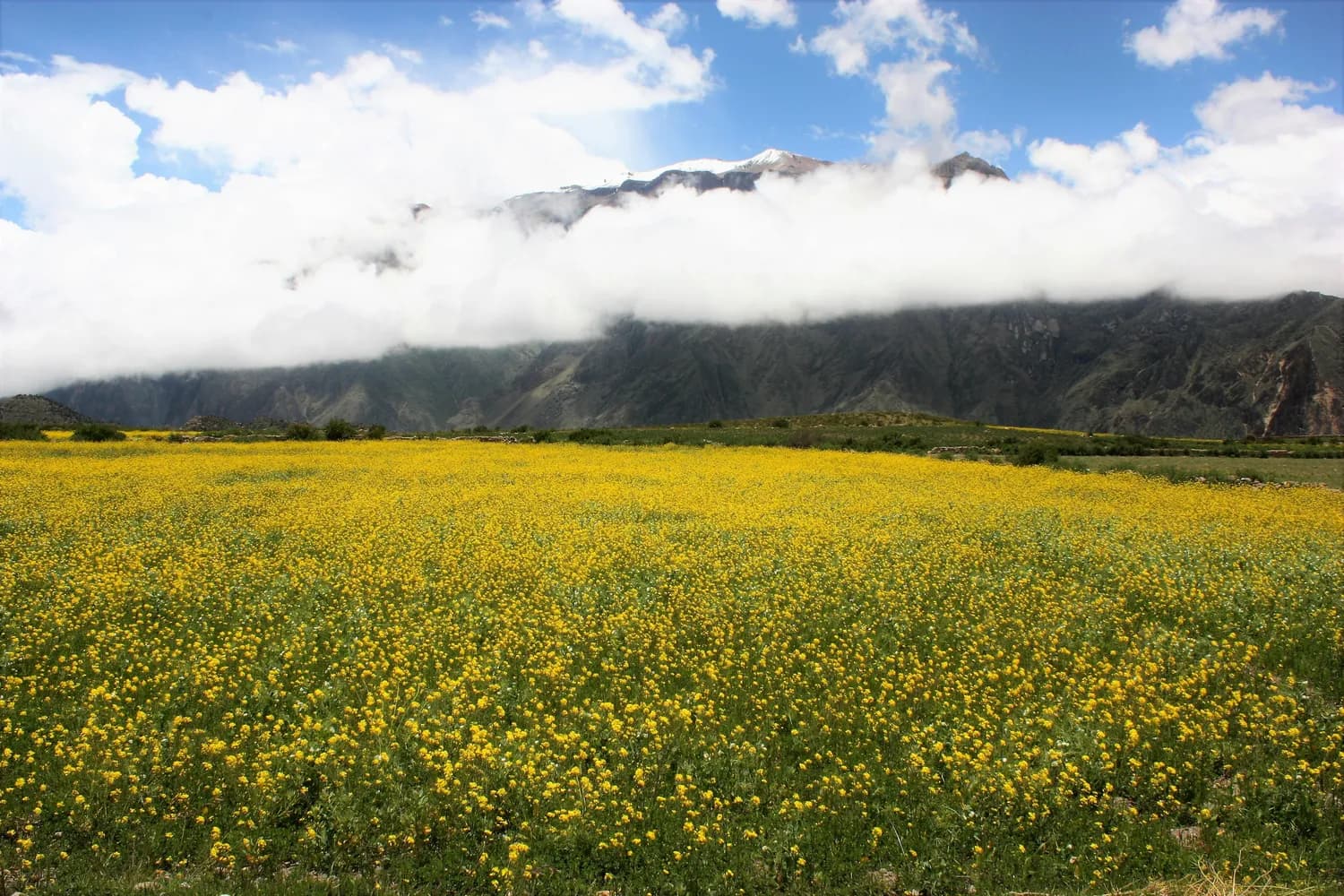 春秋季节自驾西宁至成都：草原湖泊雪山最佳观赏路线
