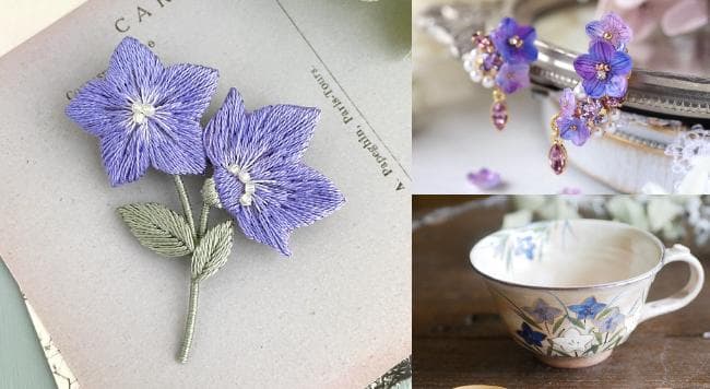 桔梗花的花语是什么？不同颜色花语也不同。桔梗花的花语介绍