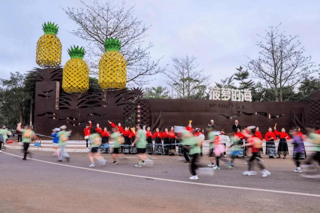 穿越“菠萝的海”：2025徐闻马拉松1月5日鸣枪