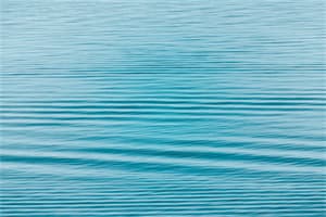 海蜇的矾制全过程