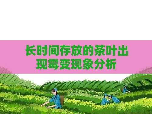 长时间存放的茶叶出现霉变现象分析