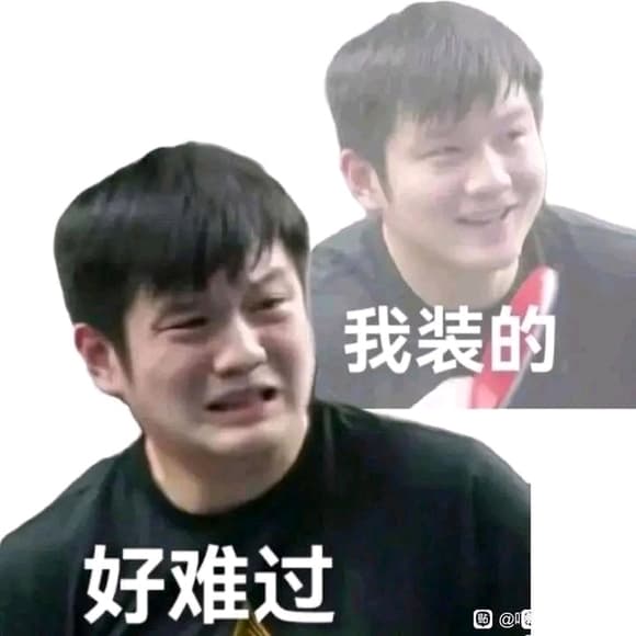 王皓与樊振东：两位乒乓球名将的技术对比分析