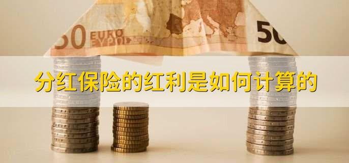 分红保险的红利是如何计算的？
