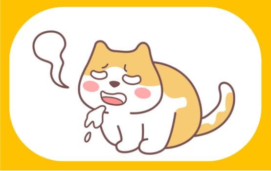 猫怎么驱虫？体内外驱虫操作细节详解，有手就会！
