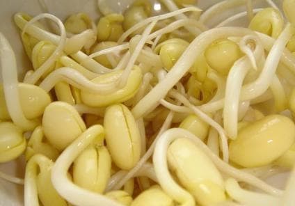 从清热明目到降脂美容：黄豆芽的营养价值与功效
