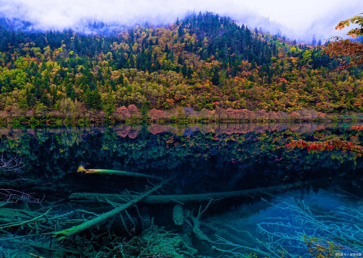 九寨沟旅游攻略：梦幻仙境的实用指南