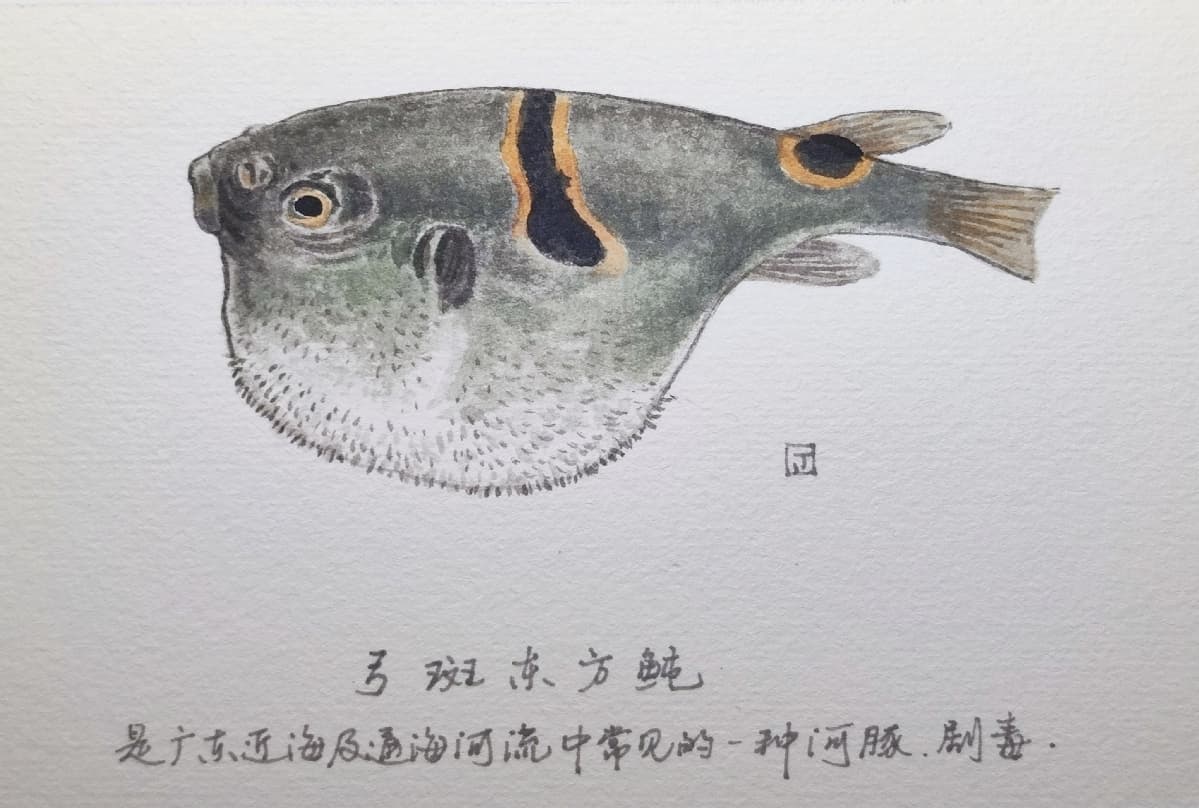 致命春味！这些有毒动植物千万别碰