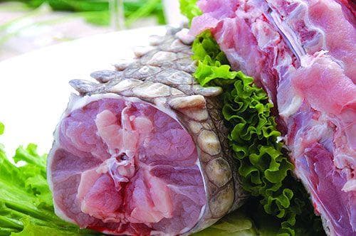 鳄鱼肉：营养价值与食用指南