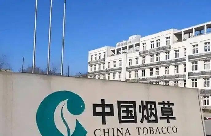中华烟国内外价格差异揭秘：60元VS4元，背后原因令人深思