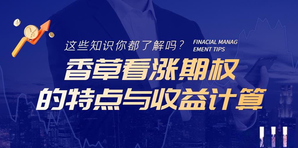 香草看涨期权的特点与收益计算详解
