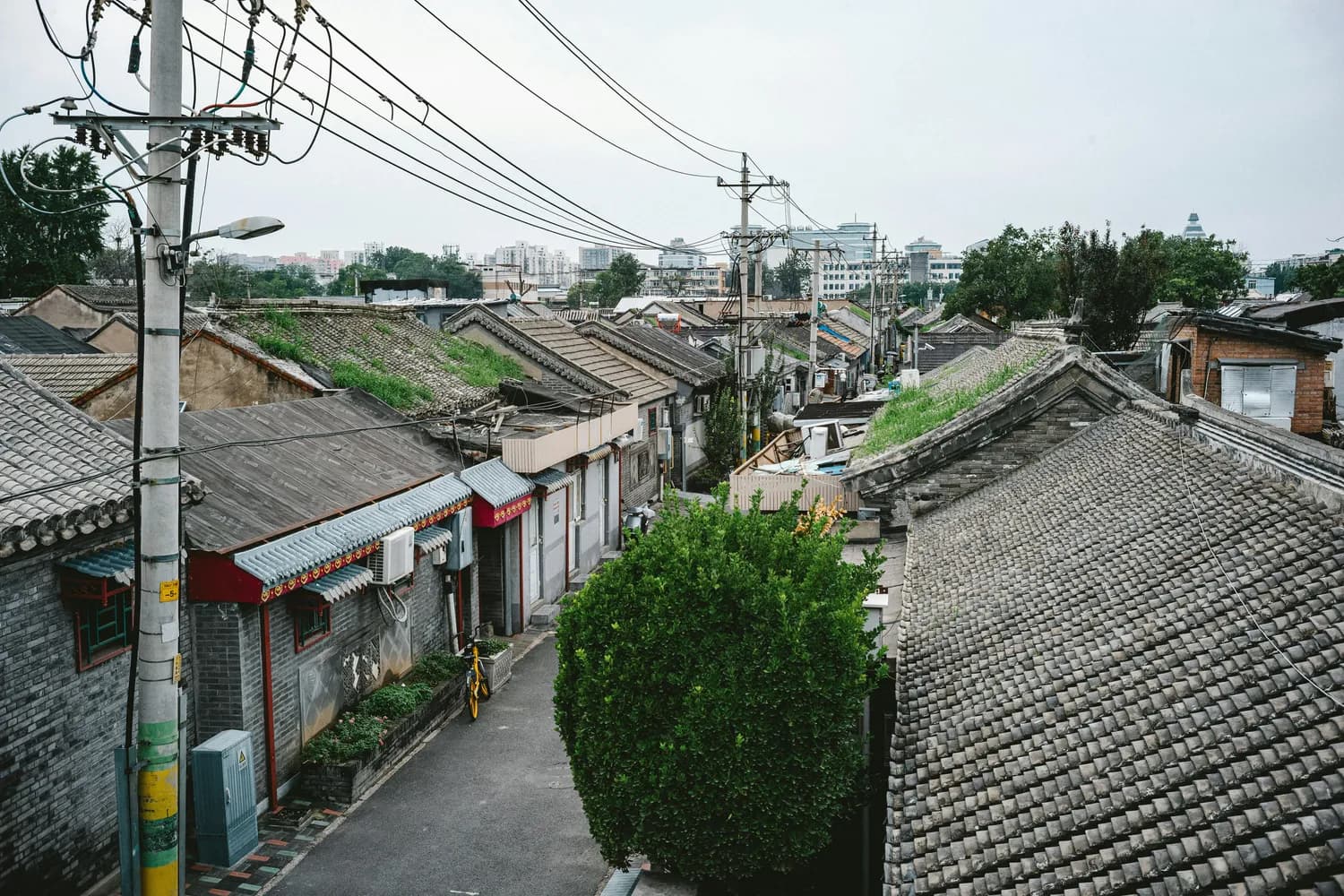 慈溪话入门指南：从发音到对话，一文掌握地道慈溪话