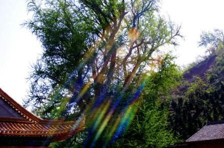 古观音禅寺：终南山千年古刹的历史与文化
