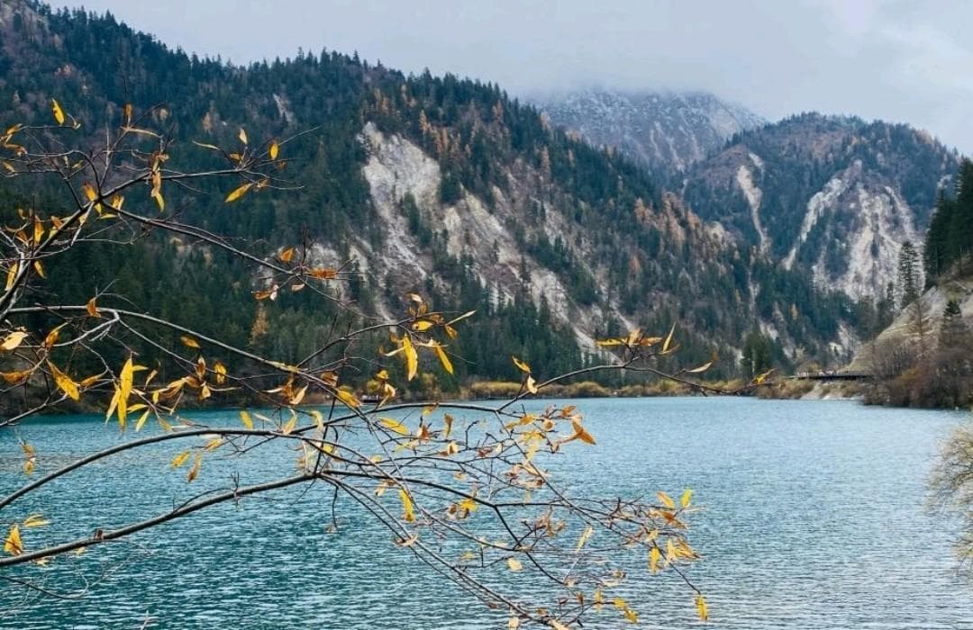 春季旅游的好景点，我强烈推荐九寨沟
