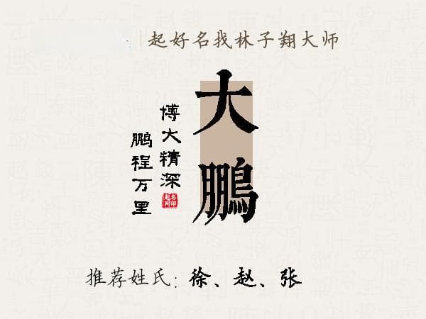 大鹏名字解析：音形义、五行八字到周易卦象的全方位解读