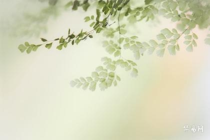 深入解析乙庚合化金的条件与影响