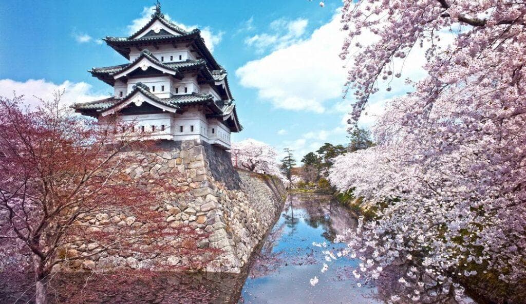 2024年日本青森县赏樱必去景点5选！浪漫至极的粉色花筏美景不容错过