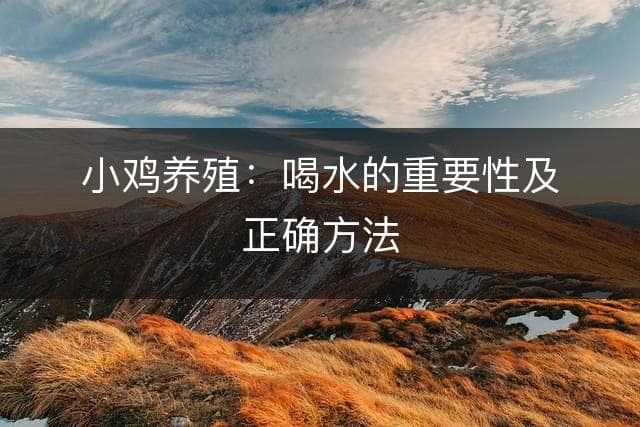小鸡养殖：喝水的重要性及正确方法