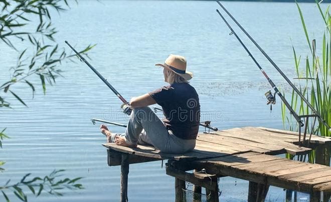 从入门到高手：掌握这5个关键技巧，让你的钓鱼之旅事半功倍！