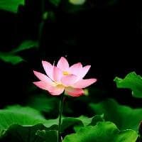 班超：投笔从戎，收复西域的定远侯