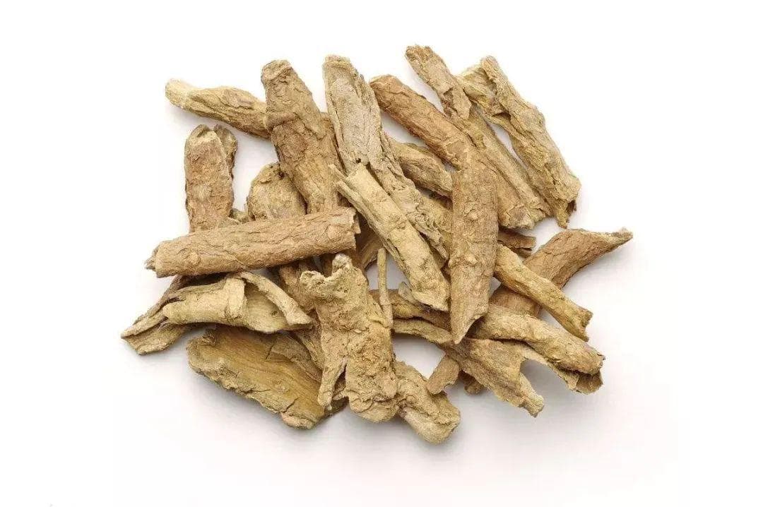 地骨皮：枸杞树根皮的退热除蒸功效