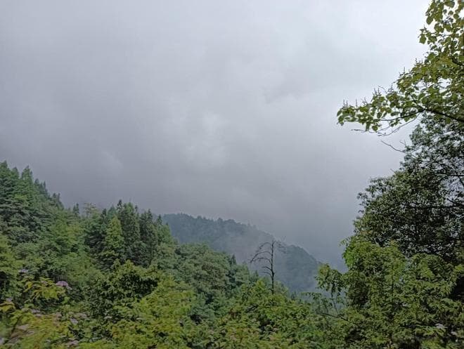 严格家风家教，增强自律意识