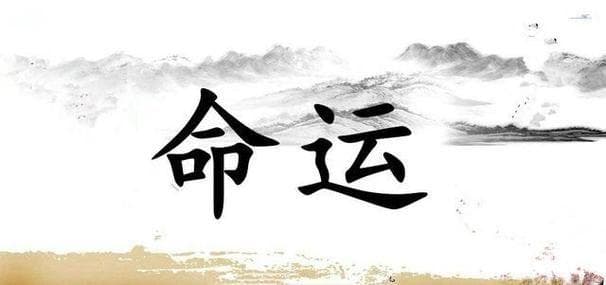 1982年属狗农历二月二十二出生的命运分析