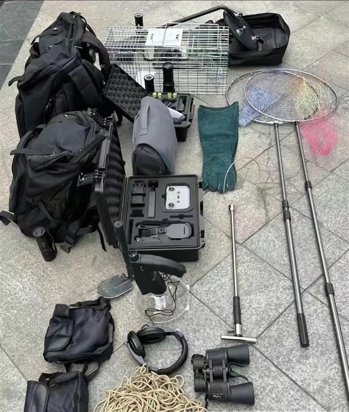 丢猫丢狗催生“宠物侦探”，专家提醒：寻宠前先签协议