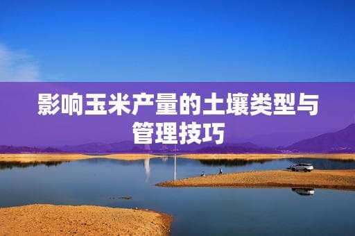 影响玉米产量的土壤类型与管理技巧