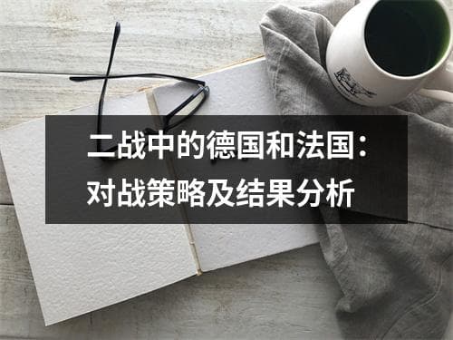 二战中的德国和法国：对战策略及结果分析