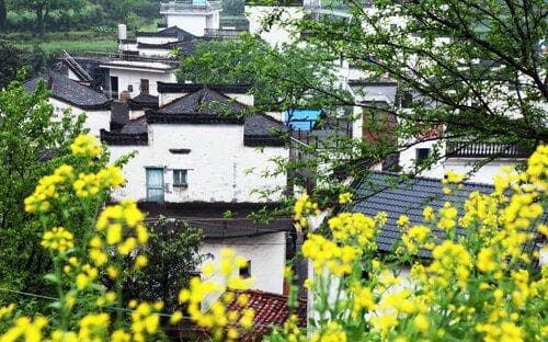 婺源李坑景区：小桥流水人家的徽派古村