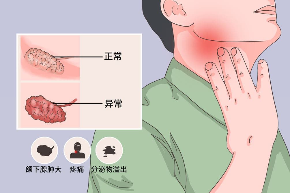 下颚摸到可滑动的圆球