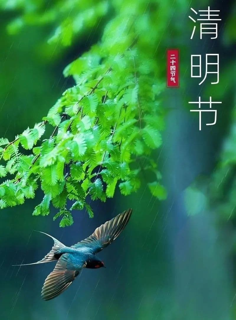 20首清明诗词，每一首都很应景