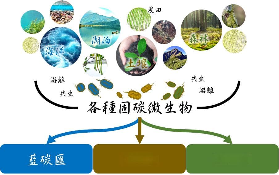 探索地球最古老的固碳机制